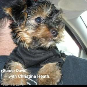 Meet your Posher, Sumer